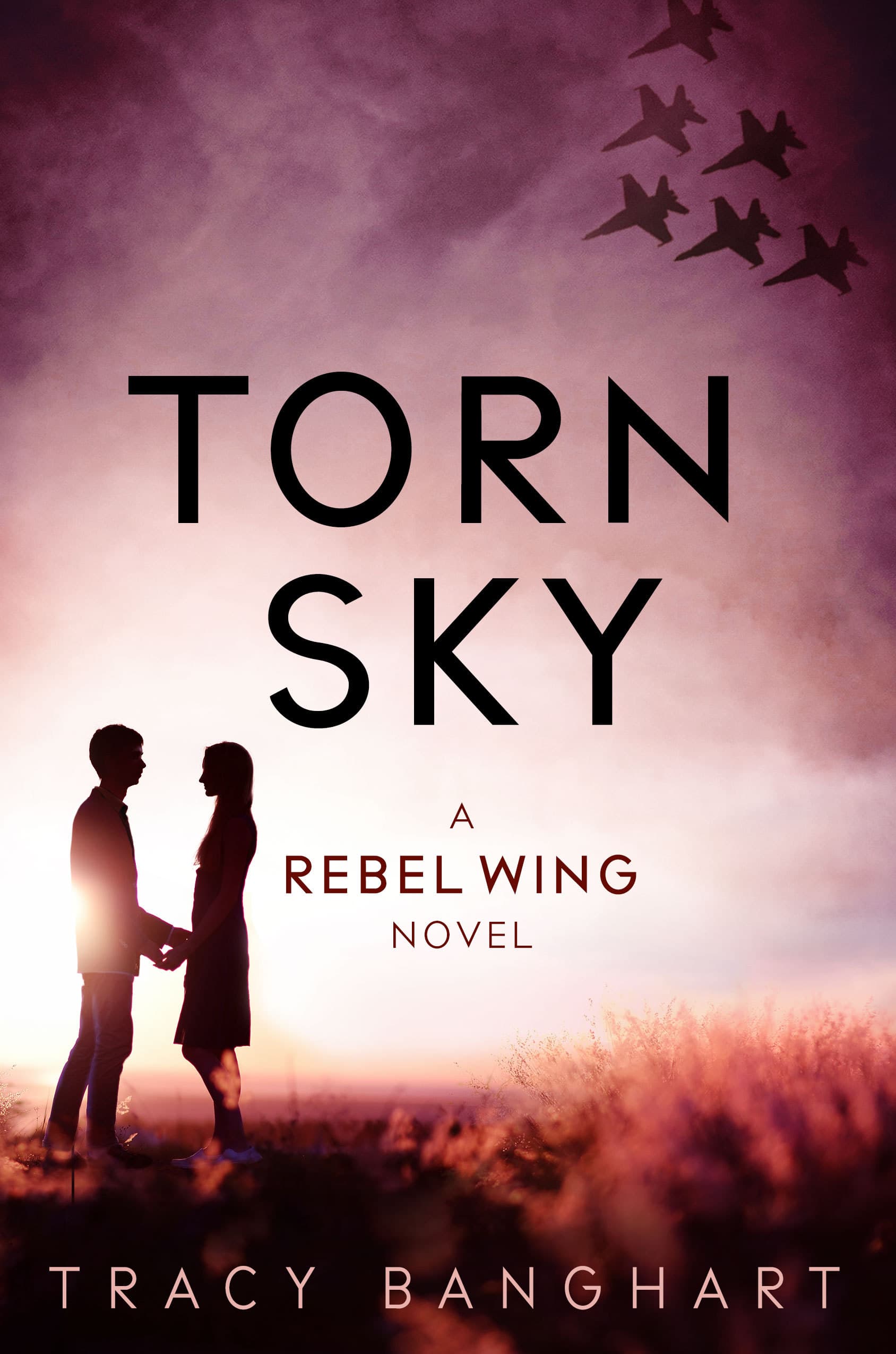 Torn Sky book cover