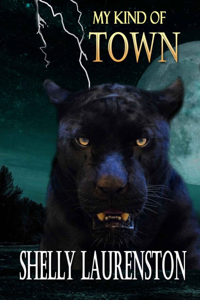 My Kind of Town book cover