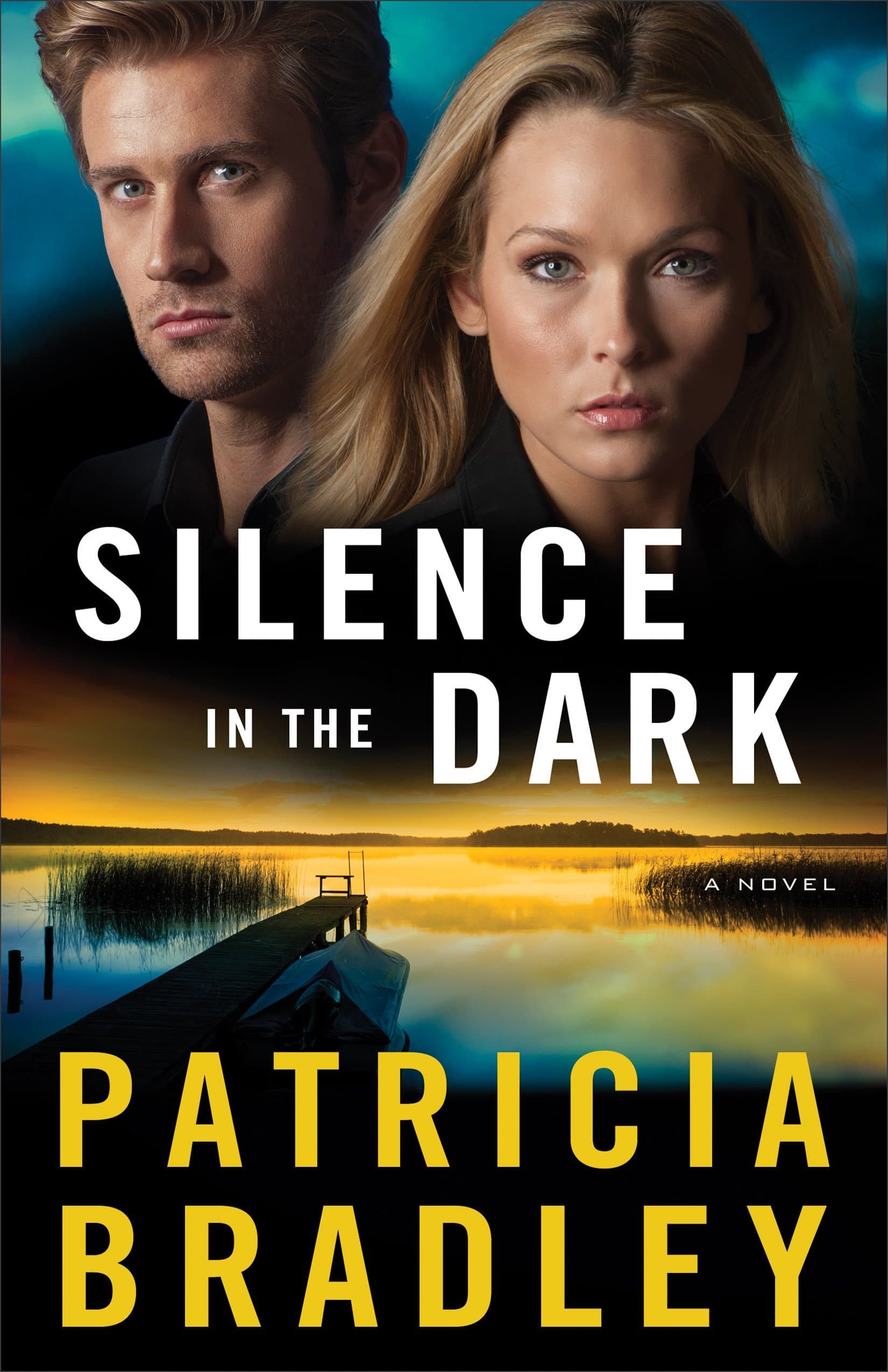 Silence in the Dark book cover