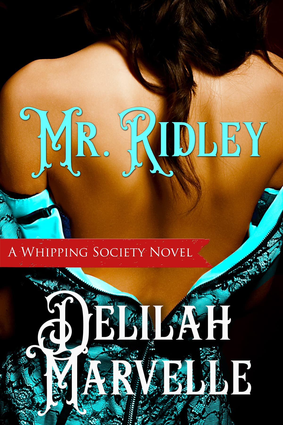 Mr. Ridley book cover