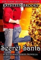 Secret Santa book cover