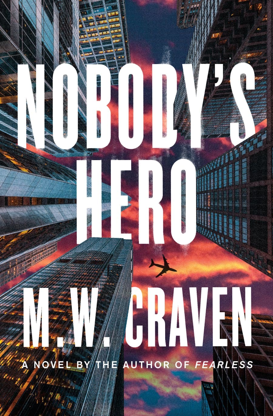 Nobody's Hero book cover