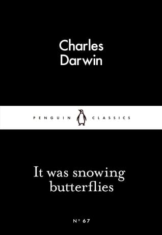 It Was Snowing Butterflies book cover