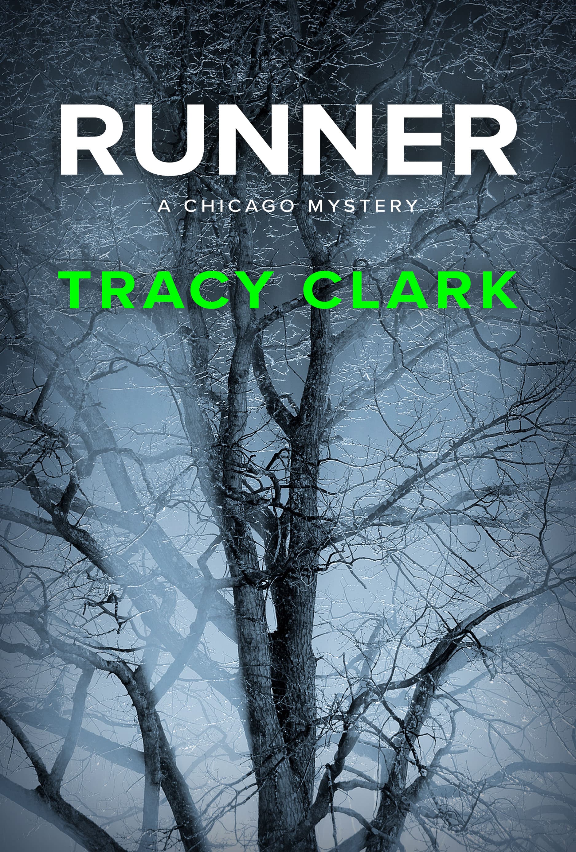 Runner book cover