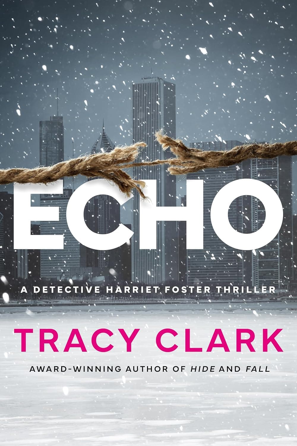 Echo book cover