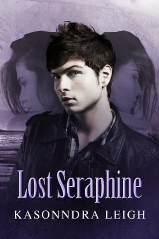 Lost Seraphine book cover