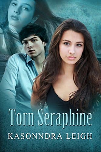 Torn Seraphine book cover