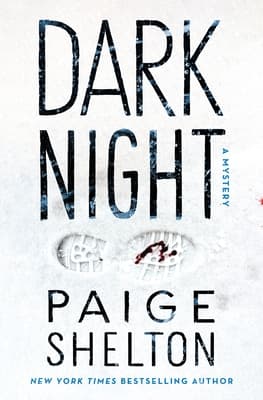 Dark Night book cover