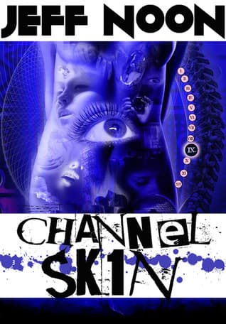 Channel SK1N book cover