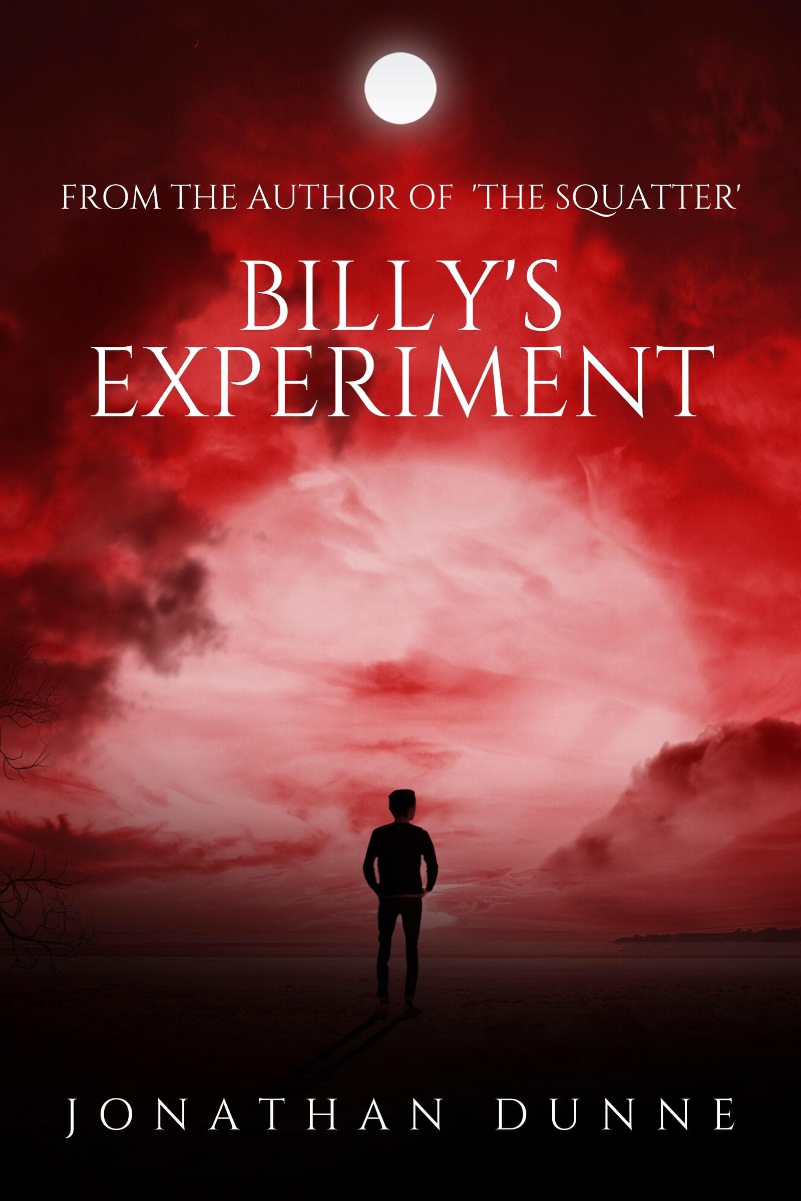 Billy's Experiment book cover