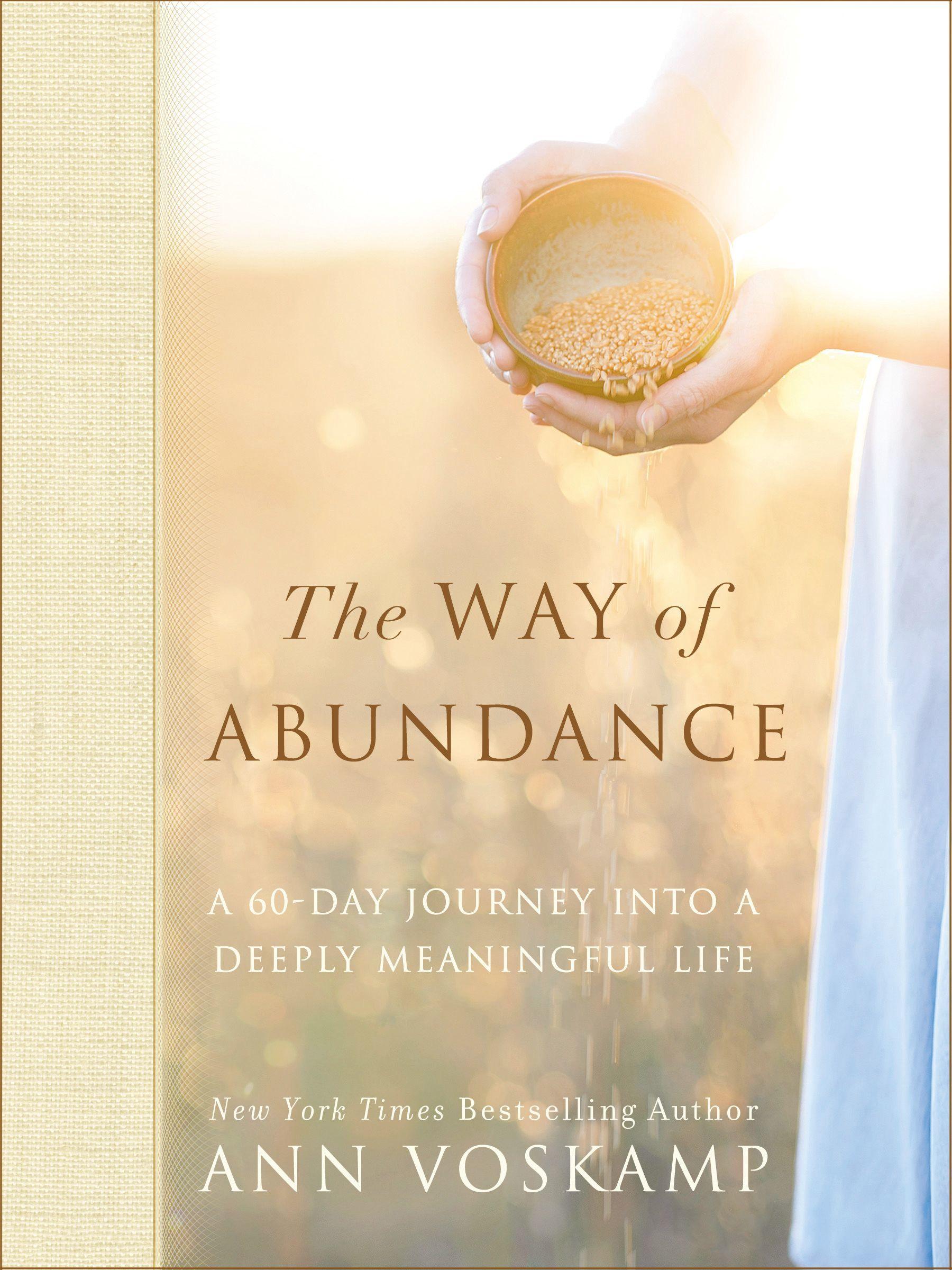 The Way of Abundance: A 60-Day Journey into a Deeply Meaningful Life book cover