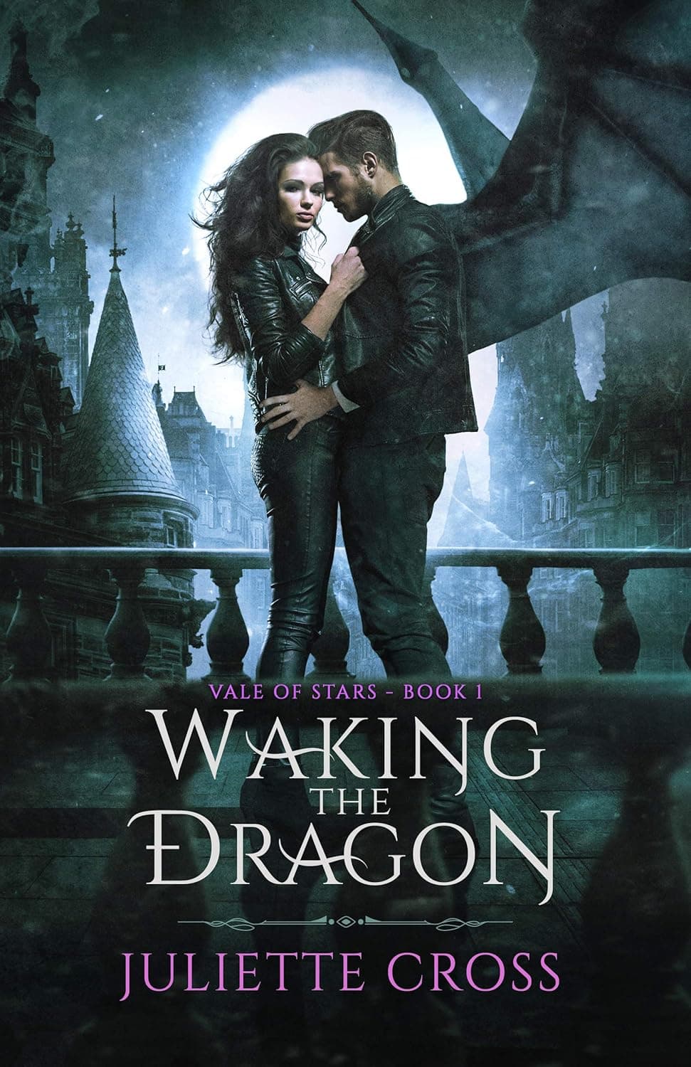 Waking the Dragon book cover