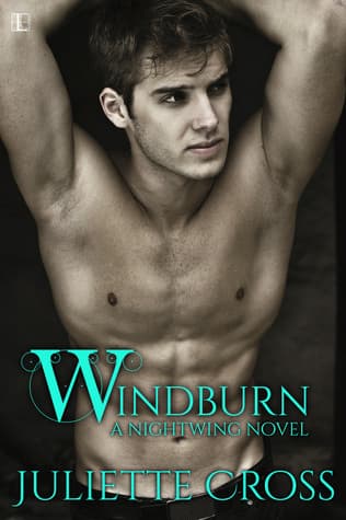 Windburn book cover