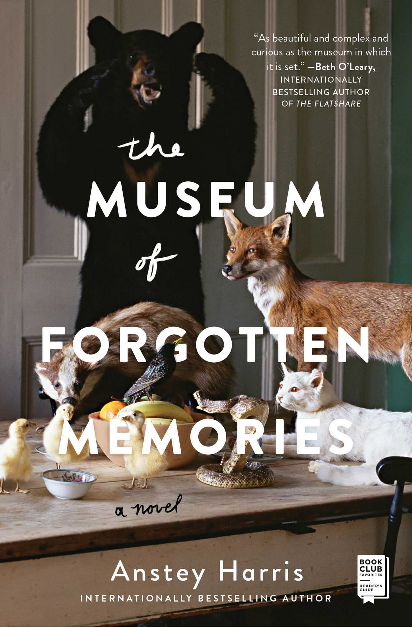 The Museum of Forgotten Memories book cover