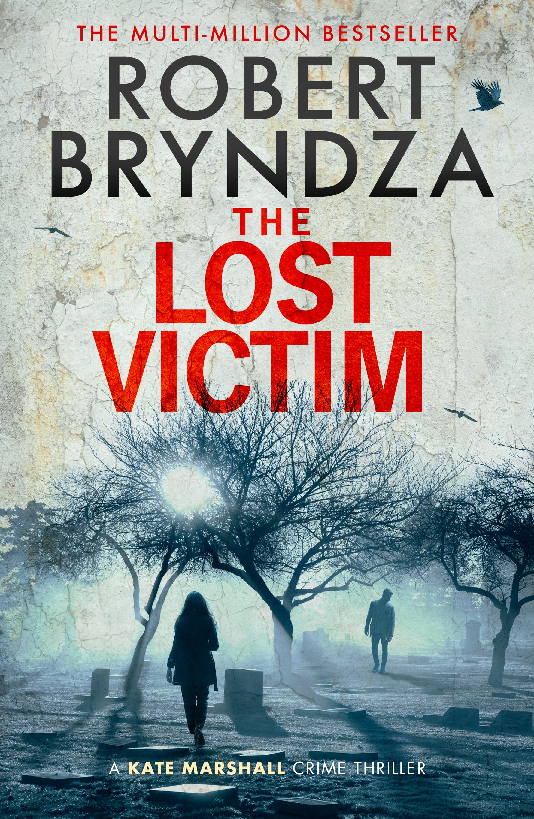 The Lost Victim book cover