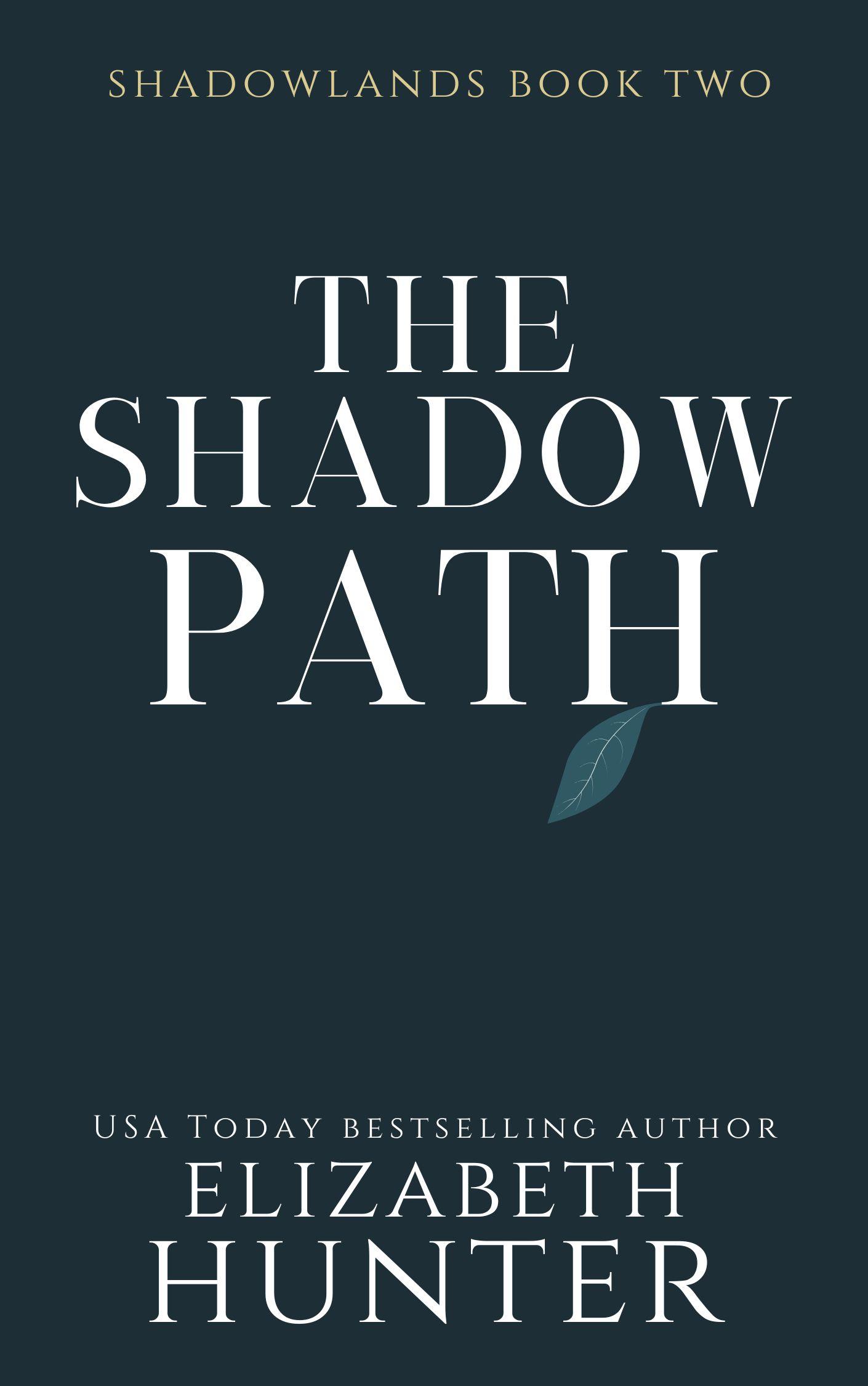 The Shadow Path book cover