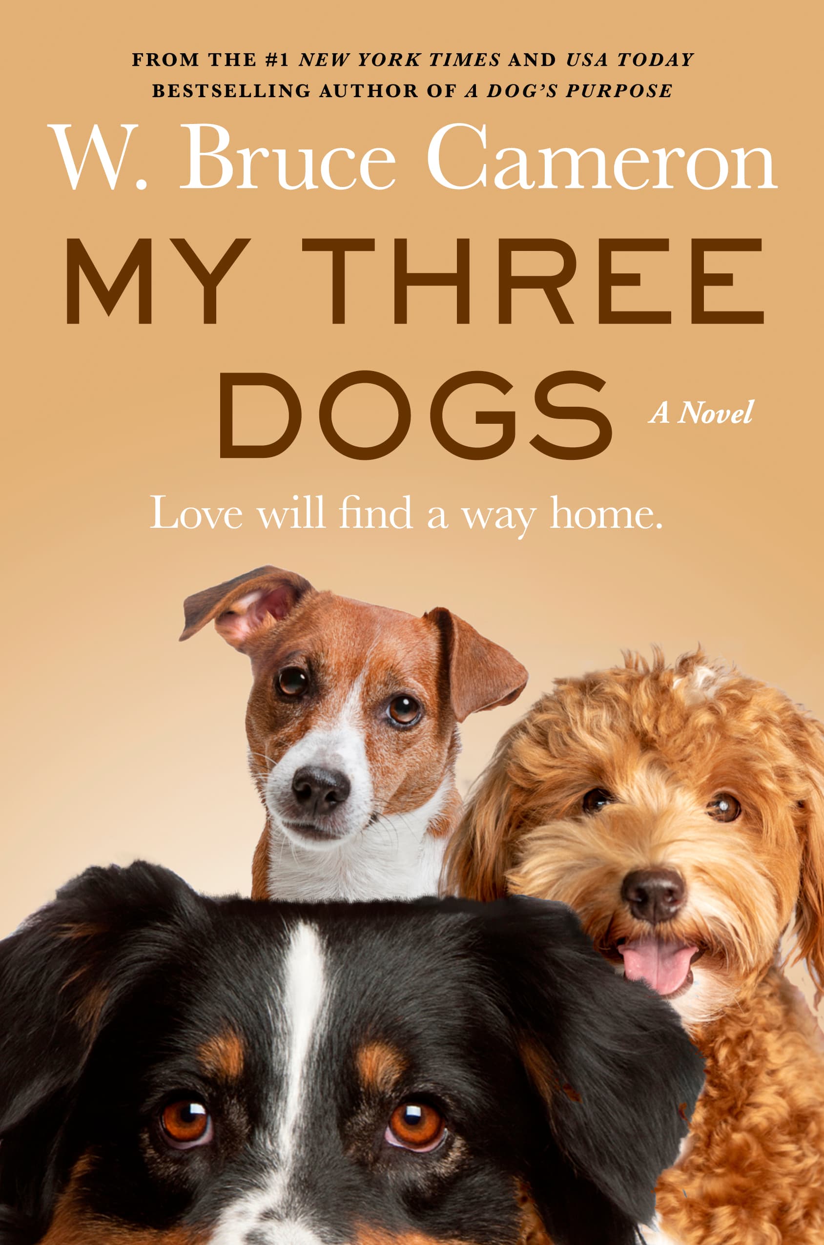 My Three Dogs book cover