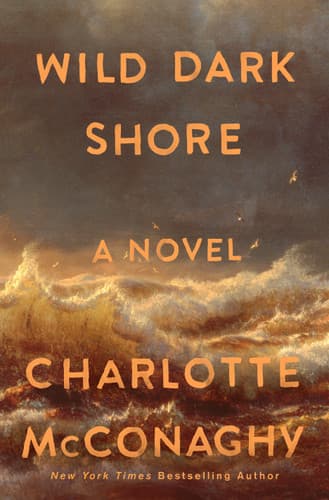 Wild Dark Shore book cover