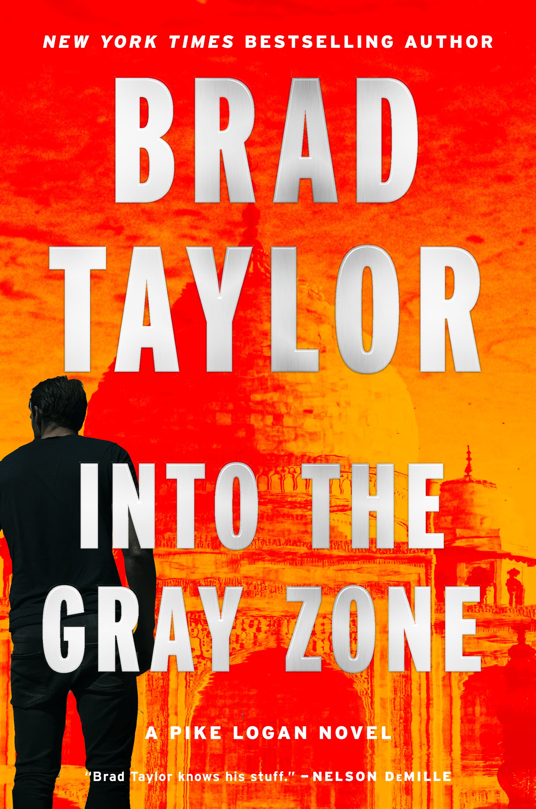 Into the Gray Zone book cover