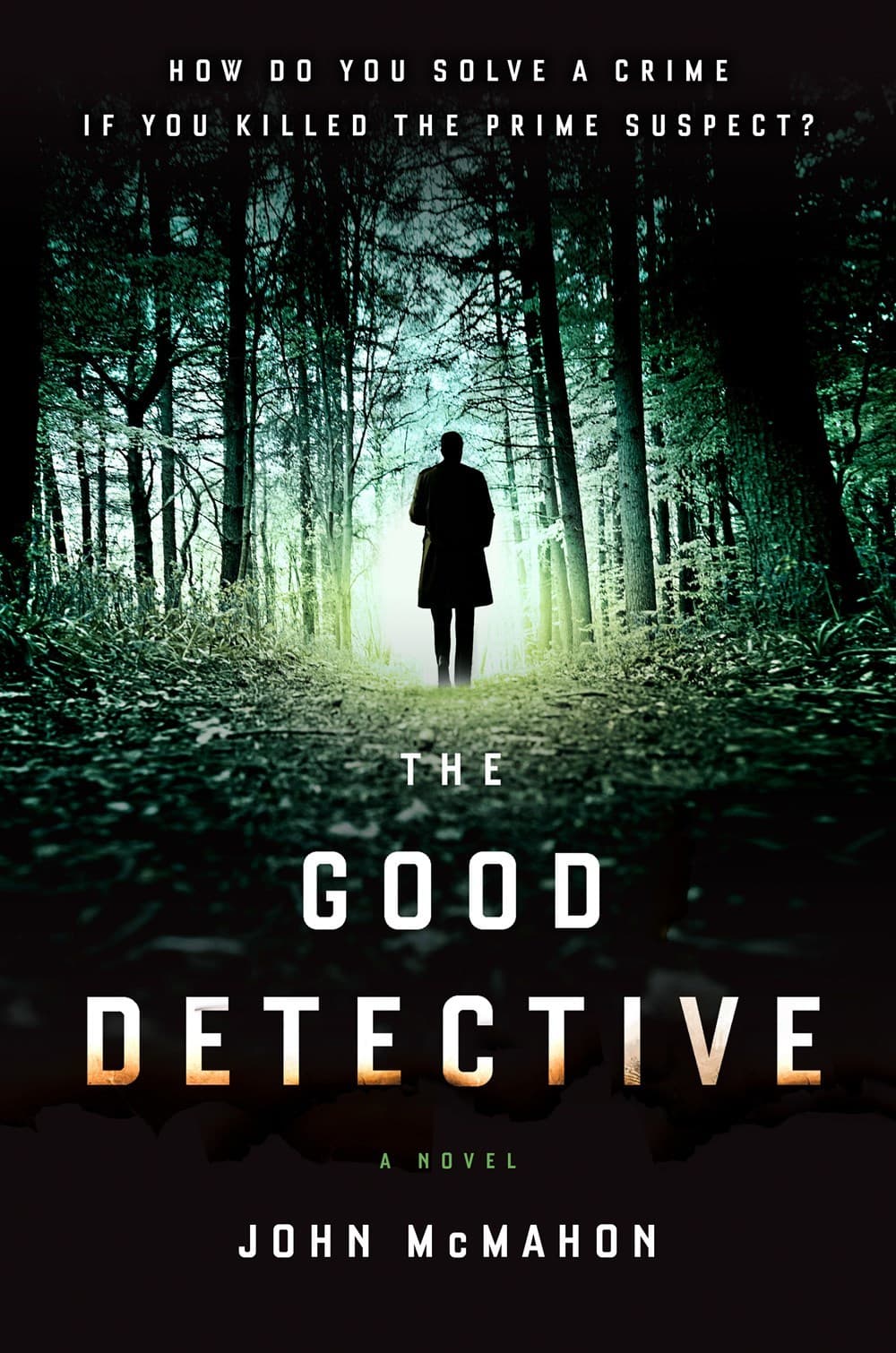 The Good Detective book cover