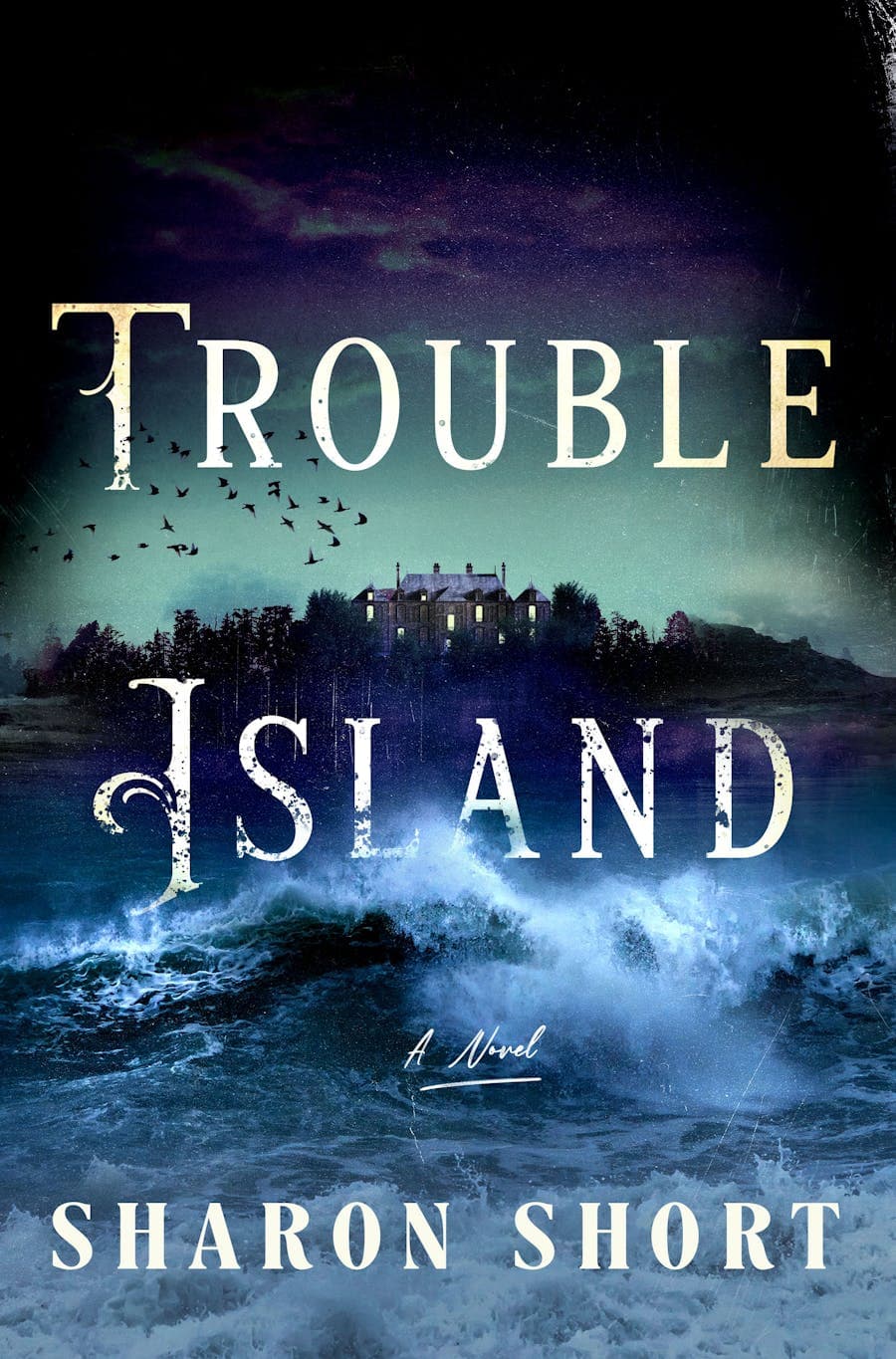 Trouble Island book cover