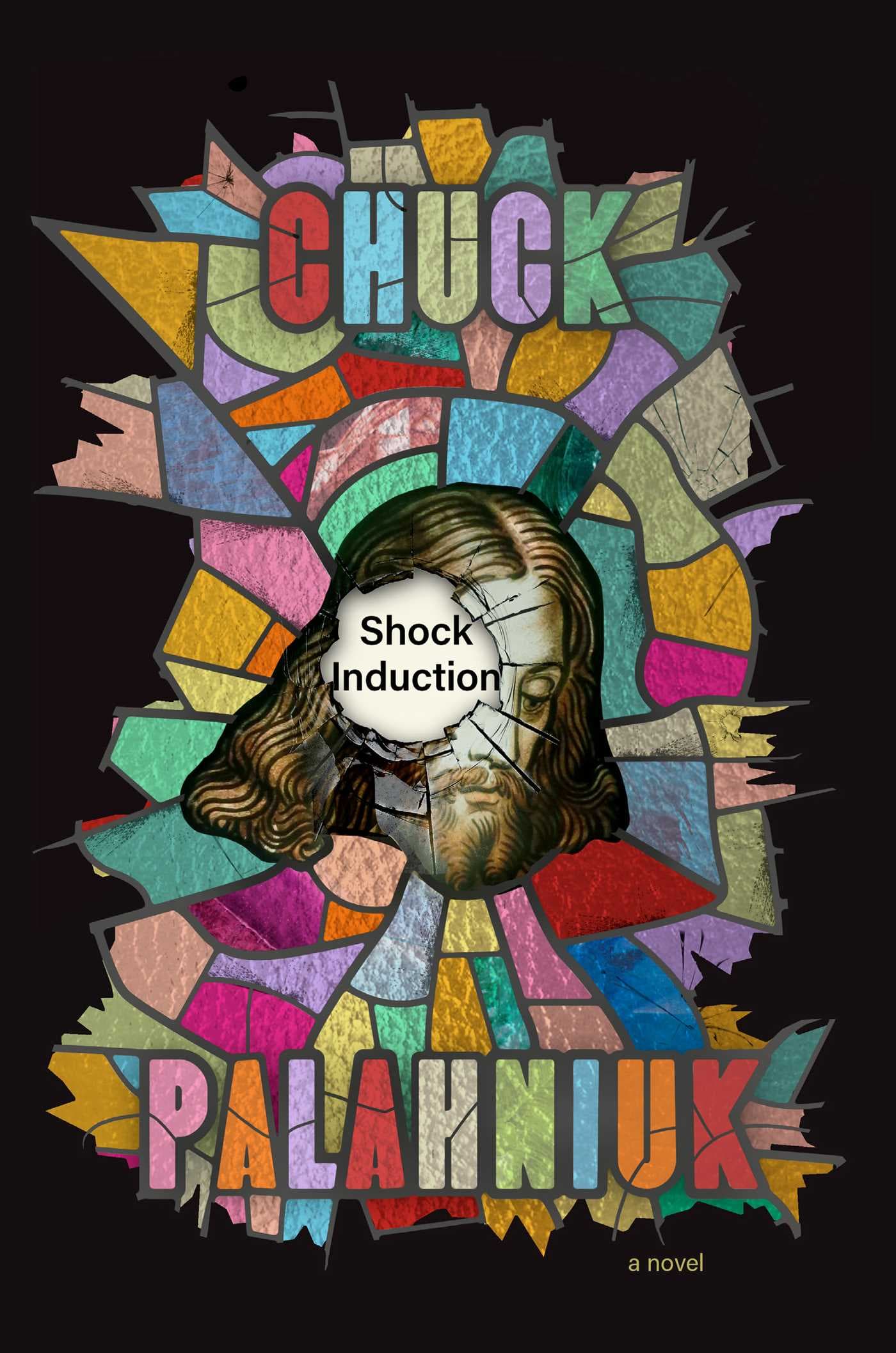 Shock Induction book cover