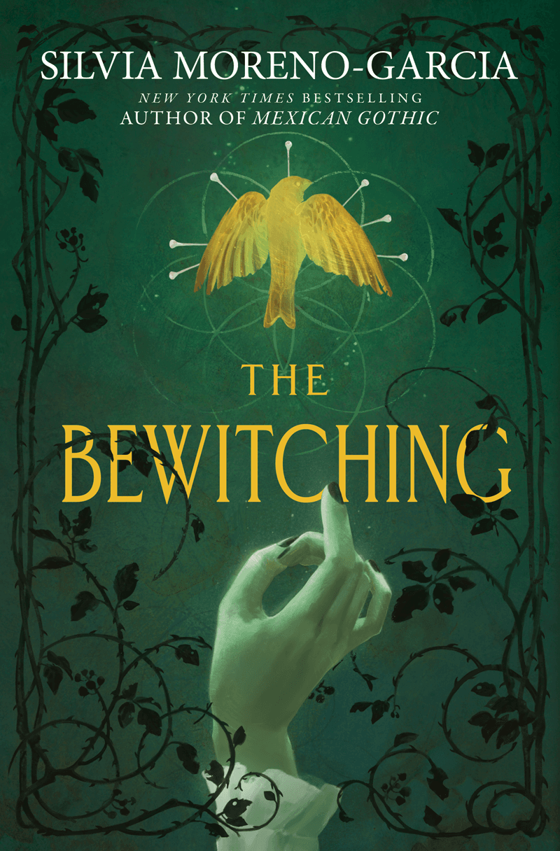 The Bewitching book cover