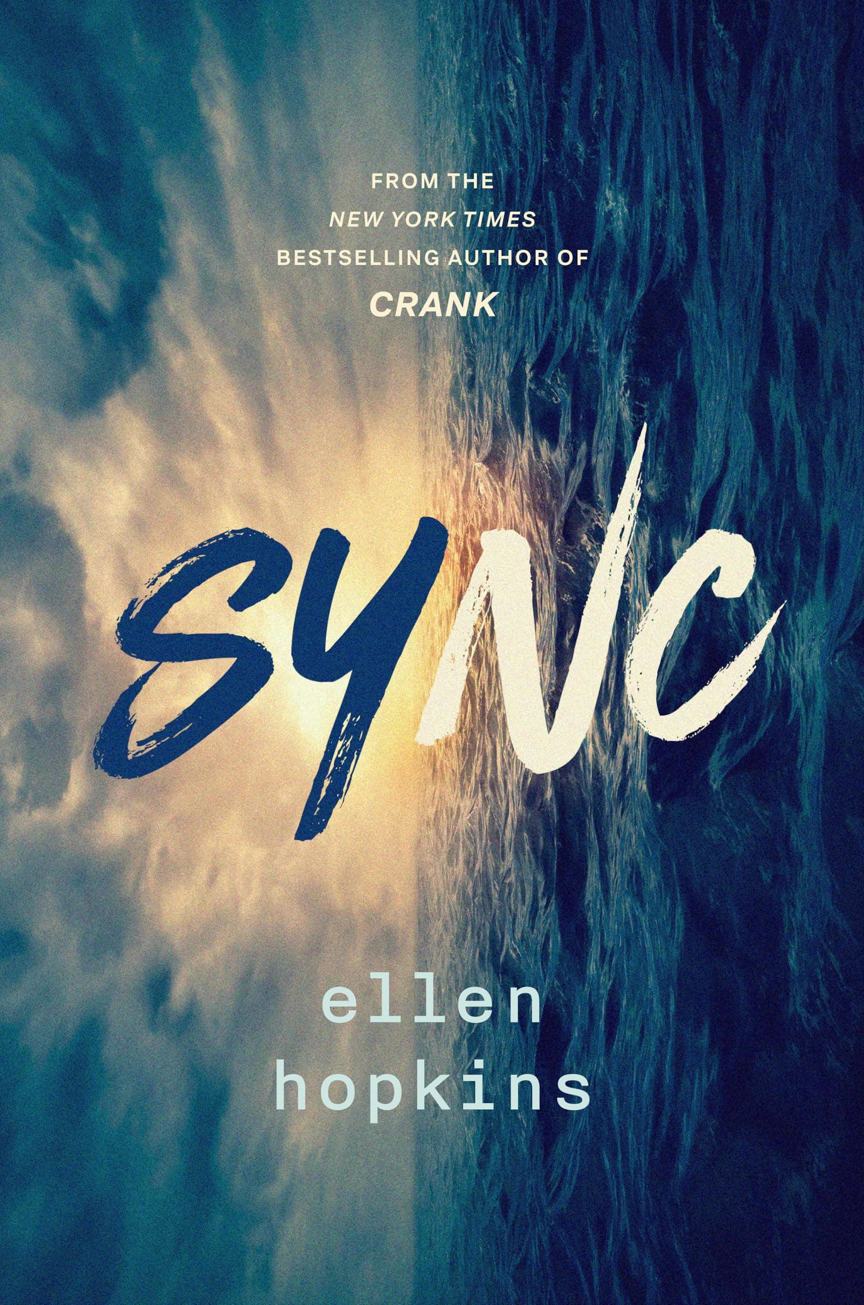 Sync book cover