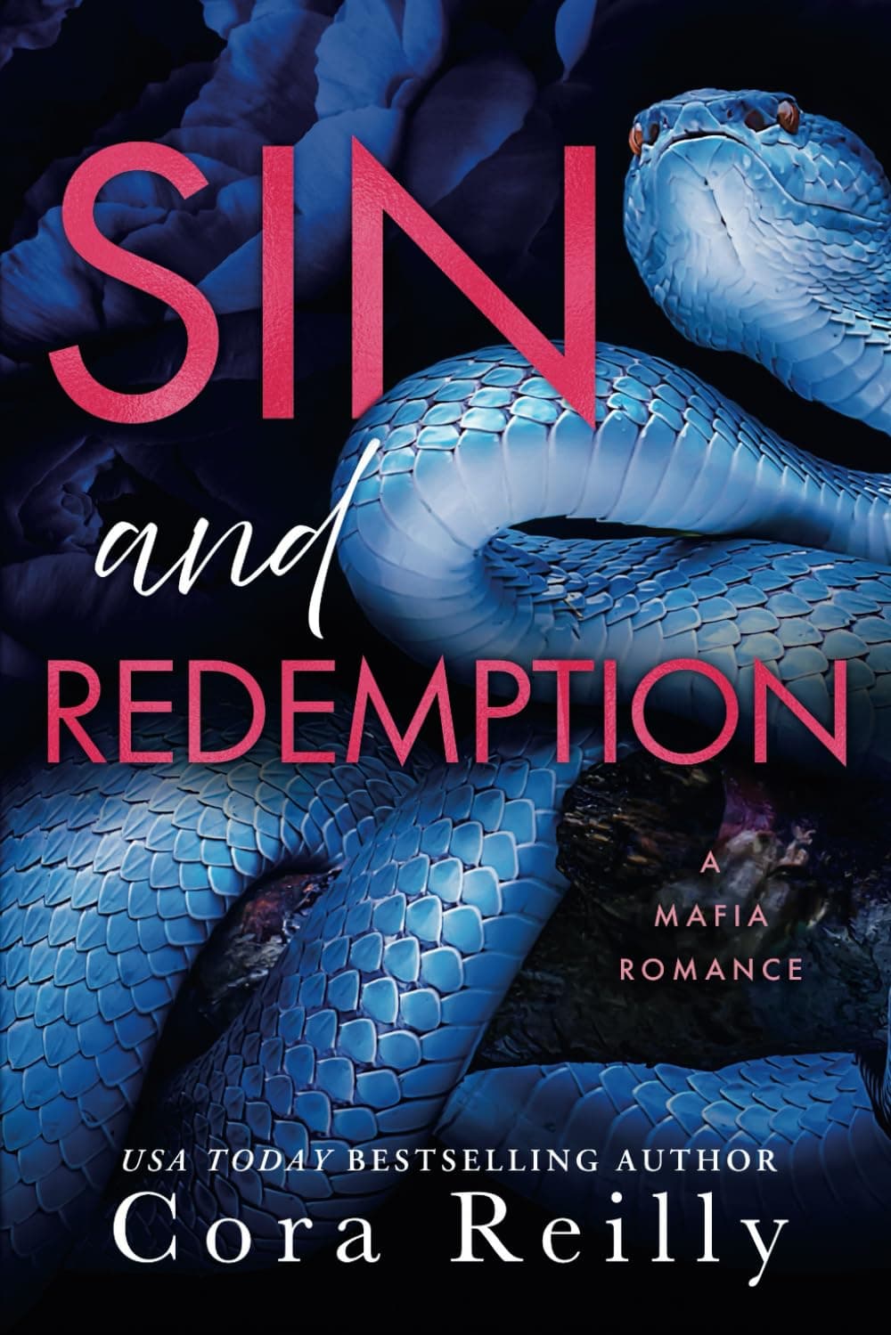 Sin and Redemption book cover