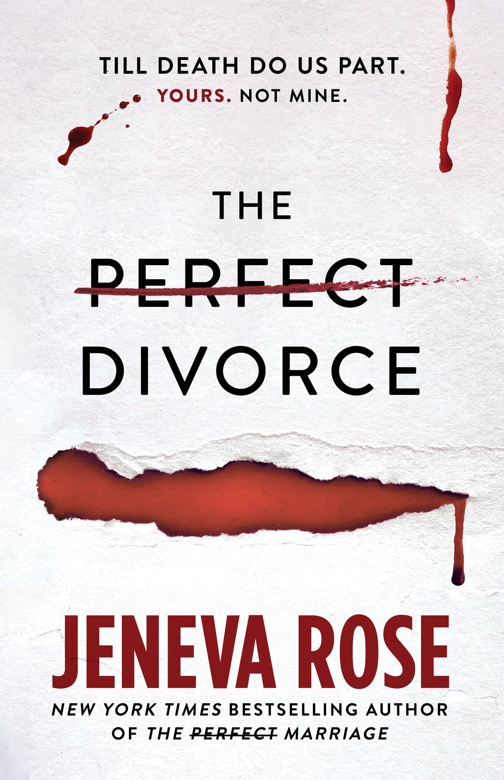 The Perfect Divorce book cover