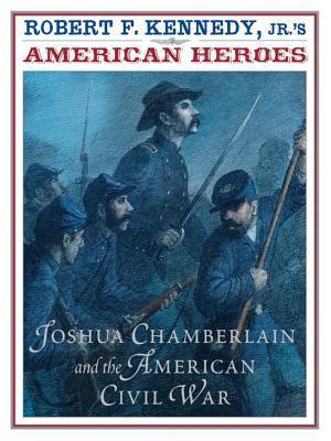 American Heroes: Joshua Chamberlain and the American Civil War book cover