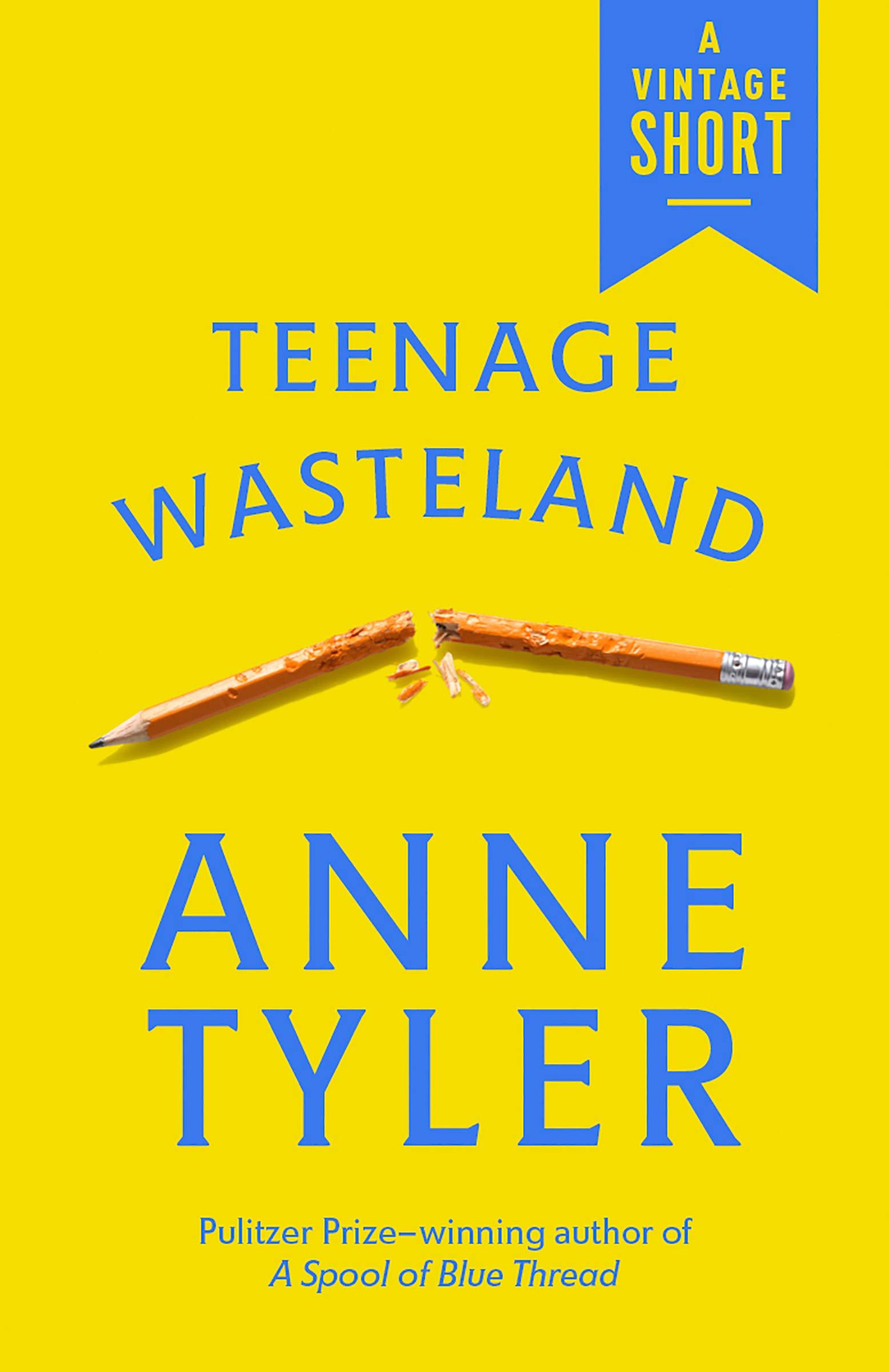 Teenage Wasteland book cover