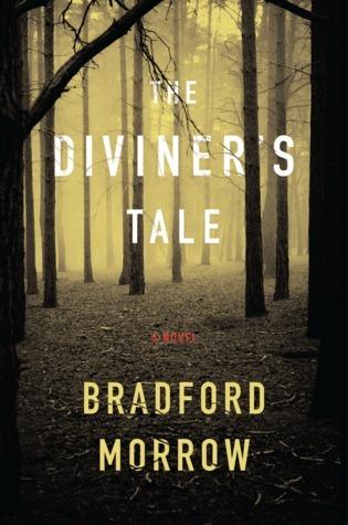 The Diviner's Tale book cover