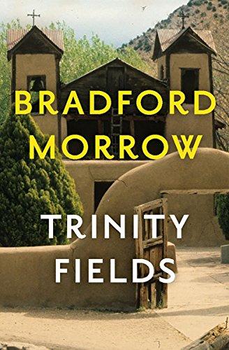 Trinity Fields book cover