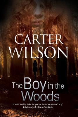 The Boy in the Woods book cover