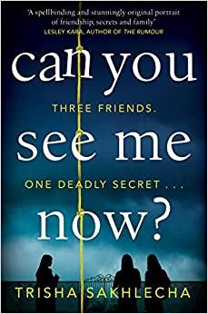 Can You See Me Now book cover