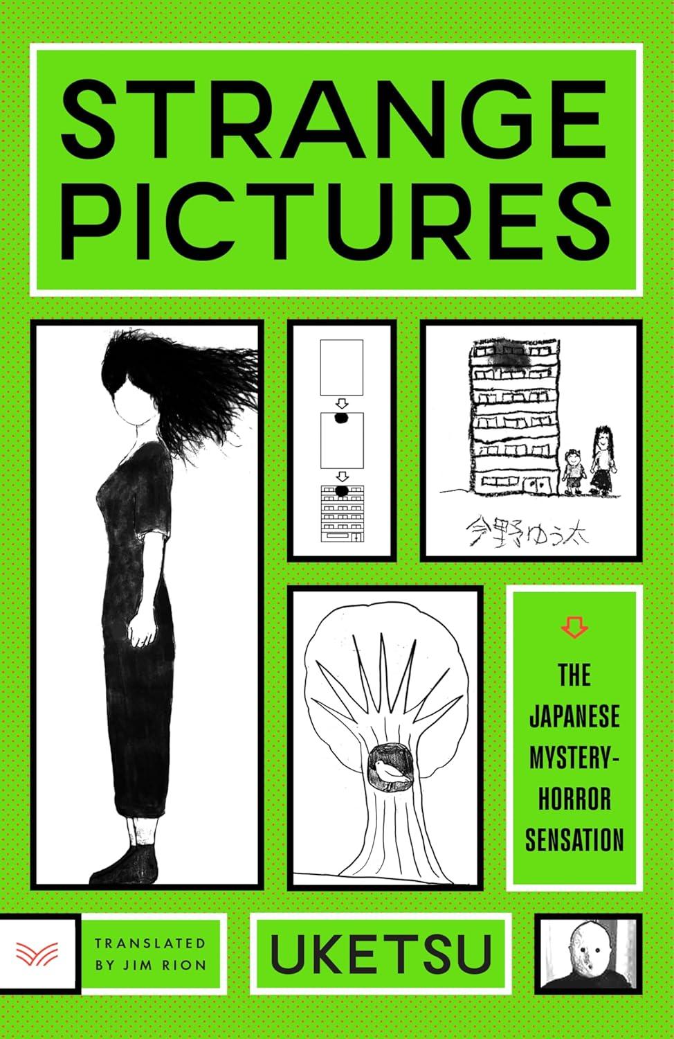 Strange Pictures book cover