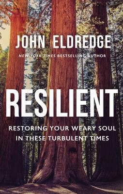 Resilient: Restoring Your Weary Soul in These Turbulent Times book cover