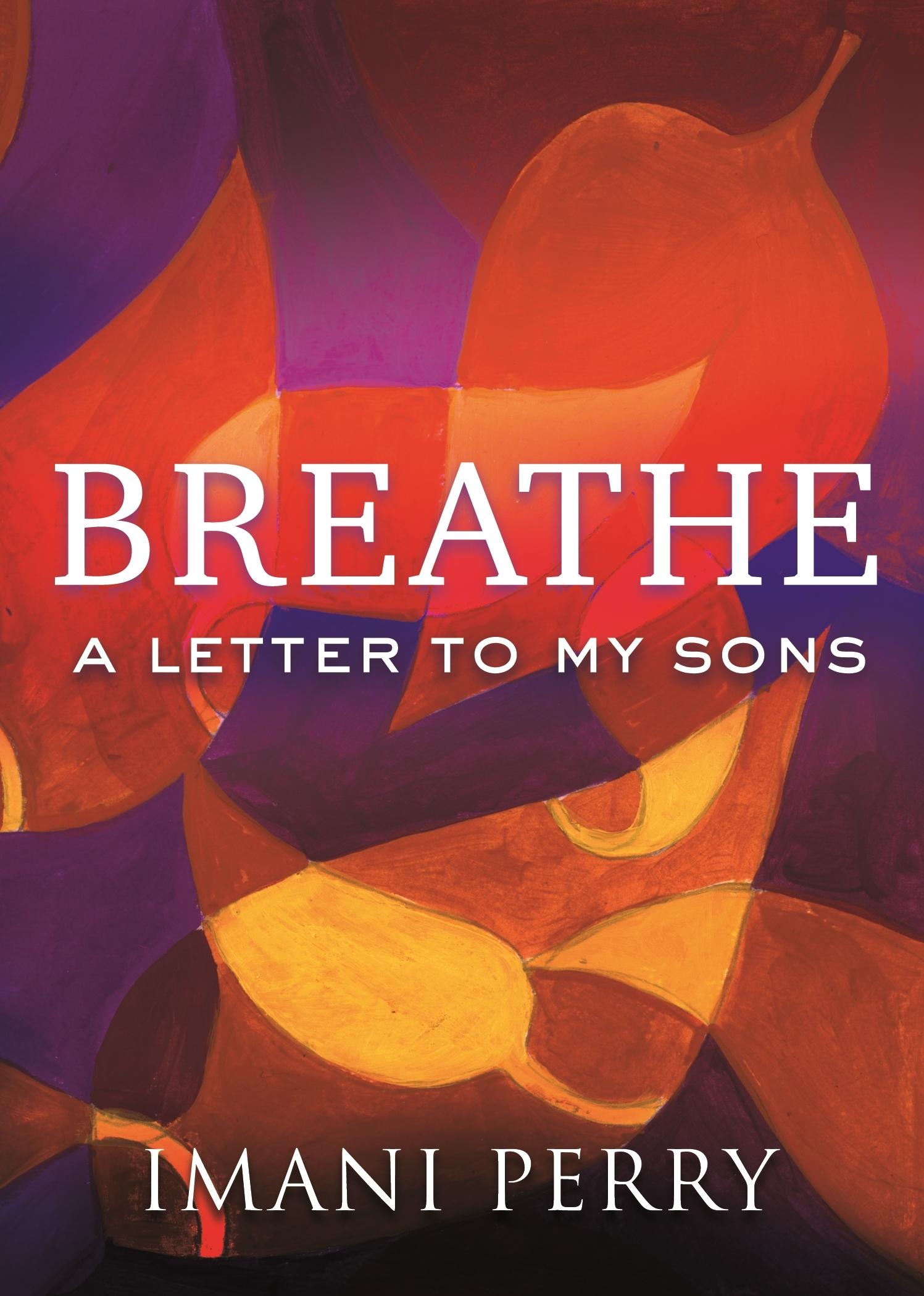 Breathe: A Letter to My Sons book cover