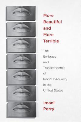 More Beautiful and More Terrible: The Embrace and Transcendence of Racial Inequality in the United States book cover