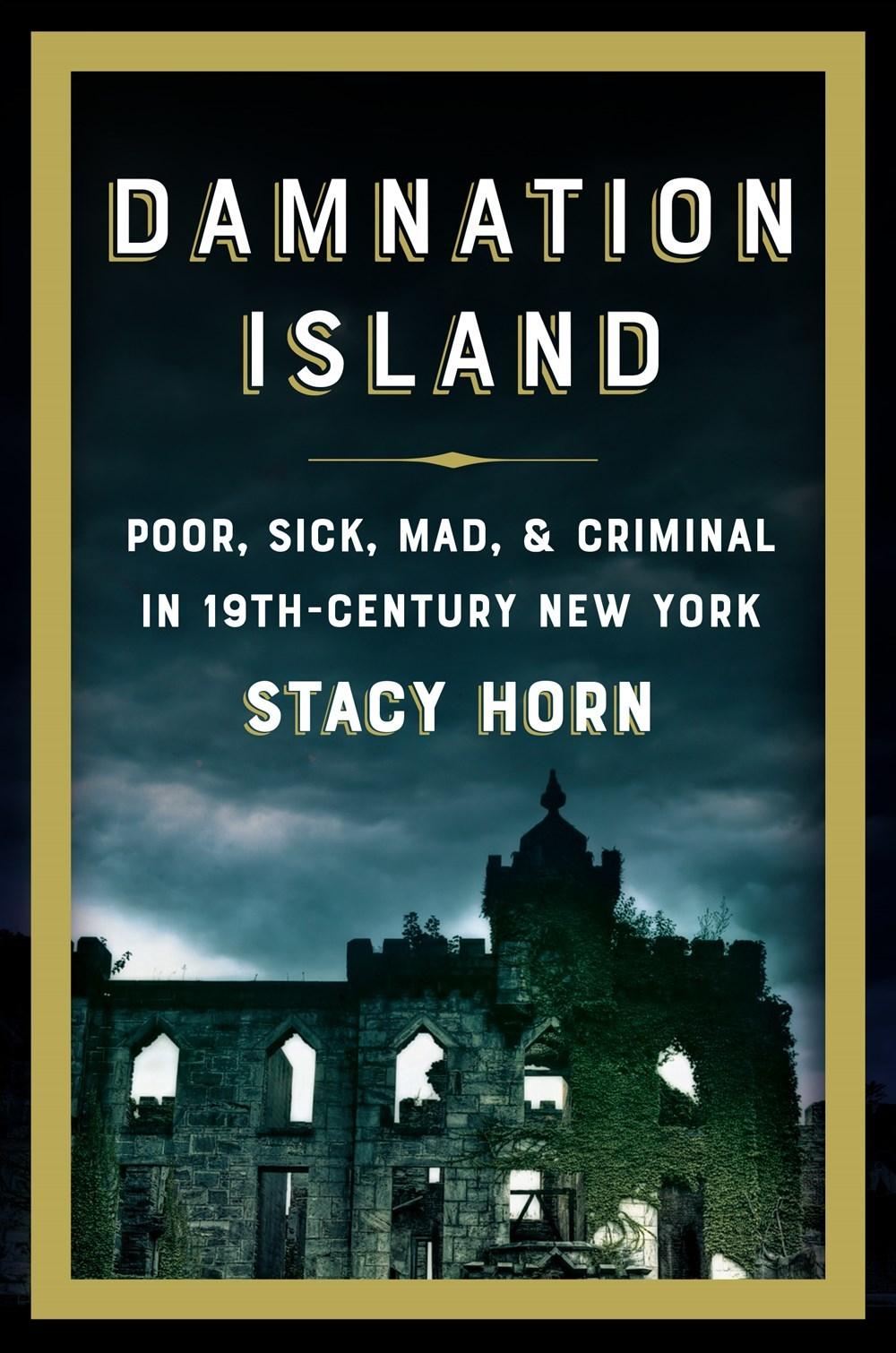 Damnation Island: Poor, Sick, Mad, & Criminal in 19th-Century New York book cover