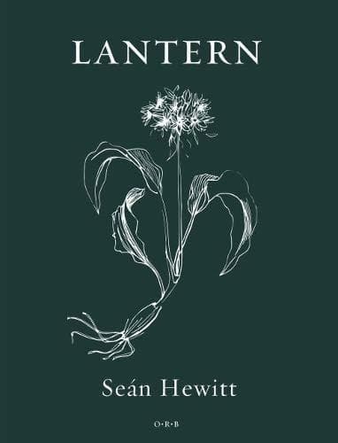 Lantern book cover