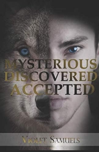 Mysterious Discovered Accepted book cover