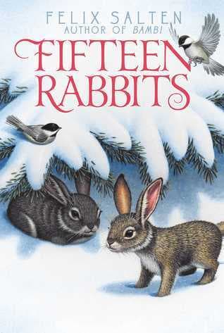 Fifteen Rabbits book cover