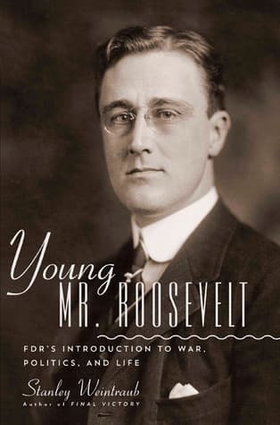 Young Mr. Roosevelt: FDR's Introduction to War, Politics, and Life book cover