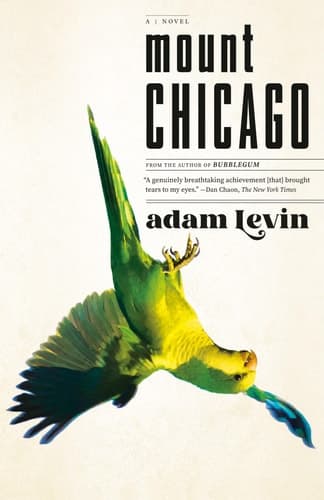 Mount Chicago: A Novel book cover