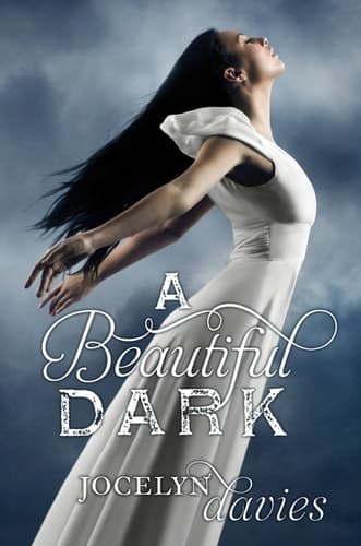 A Beautiful Dark book cover
