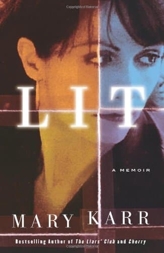 Lit book cover