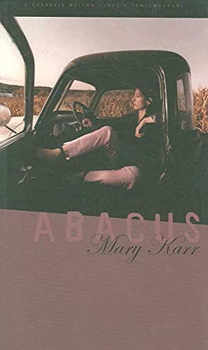 Abacus book cover