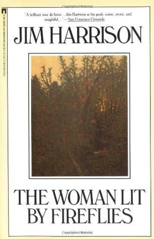 The Woman Lit By Fireflies book cover
